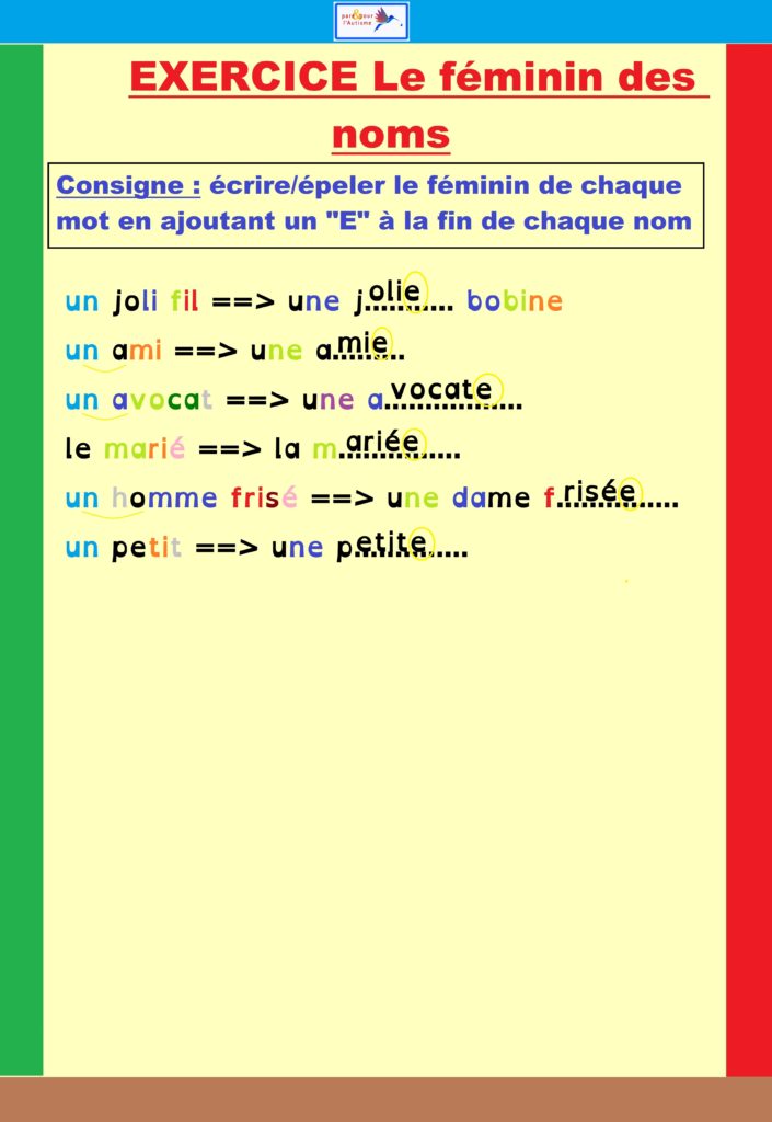 correction de l'exercice le féminin des noms