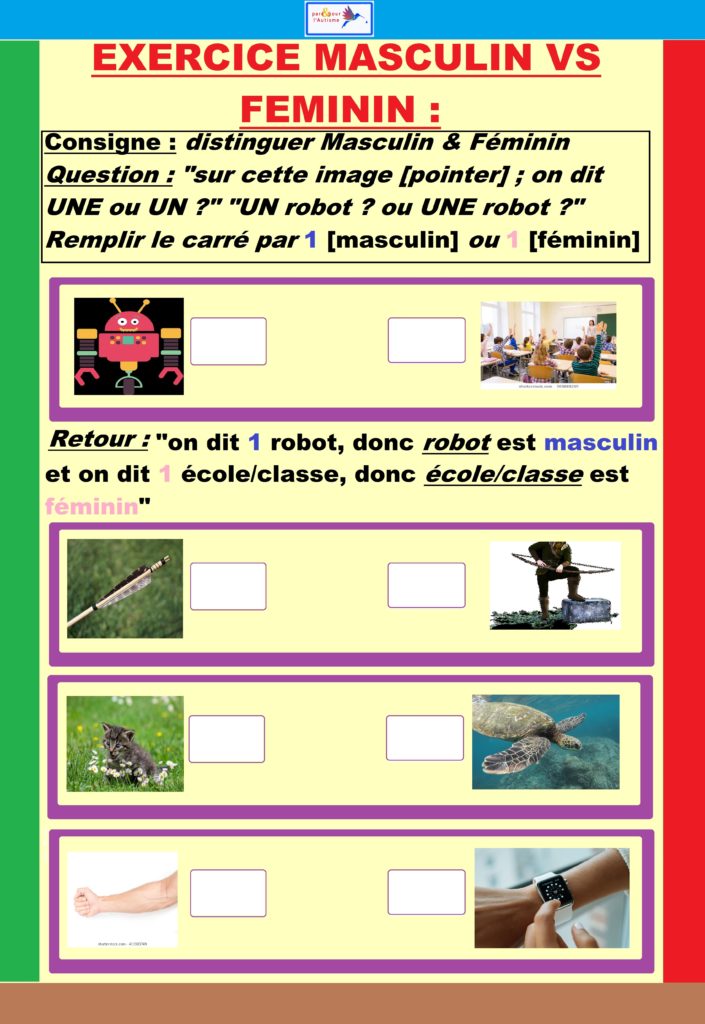 Exercice 2 masculin vs féminin
