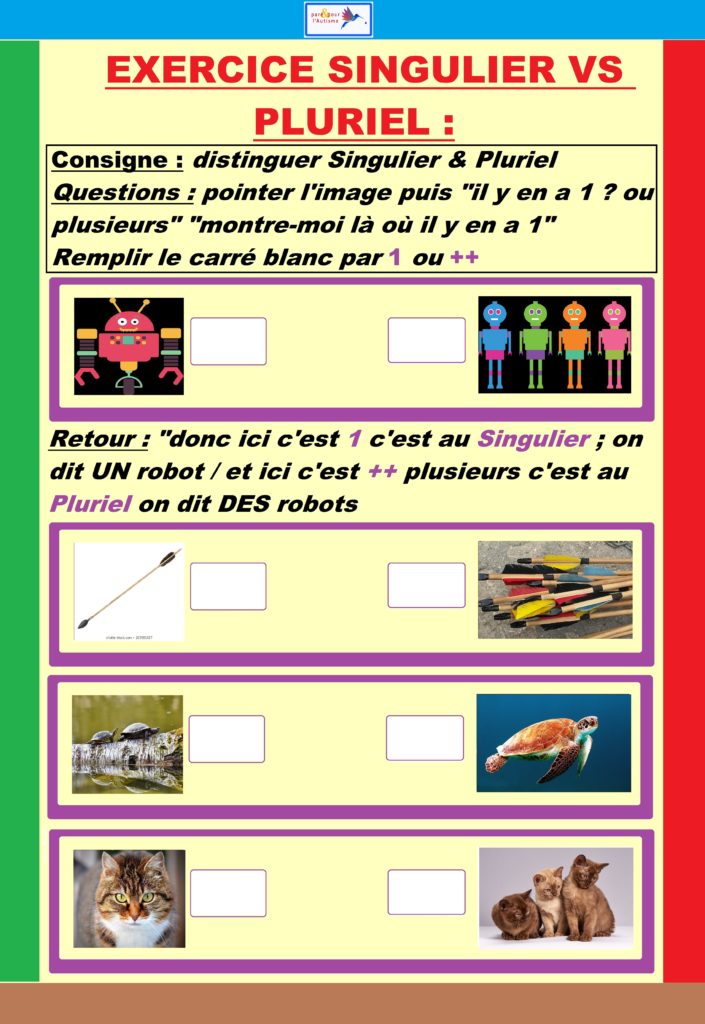 Exercice 3 singulier vs pluriel