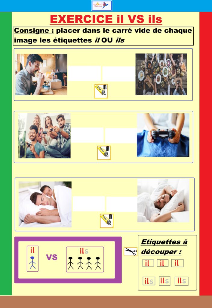 exercice il vs ils