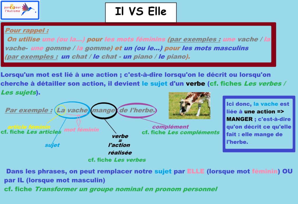 Leçon 1b fiche il vs elle