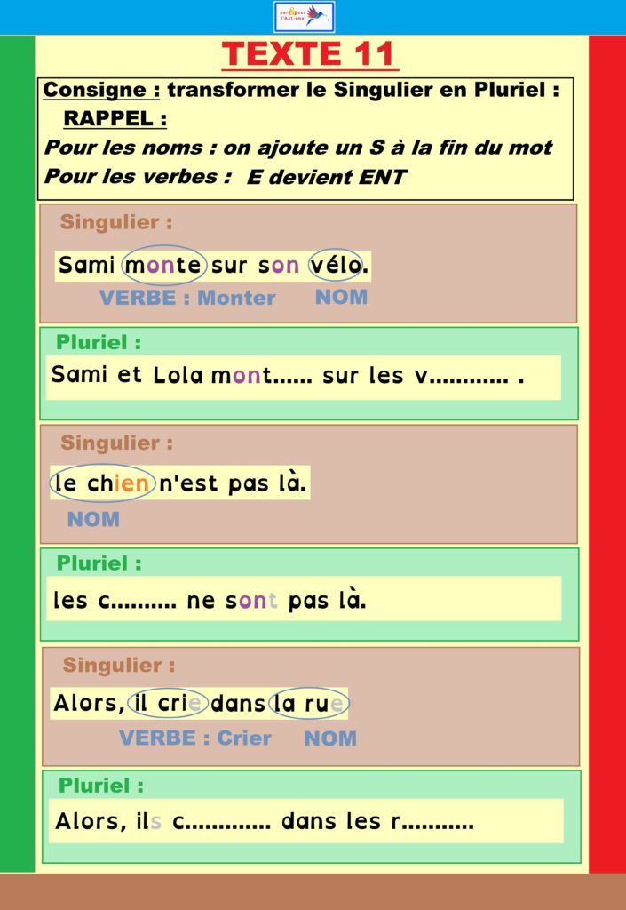 Exercice 4 Exercice transformer le singulier en pluriel