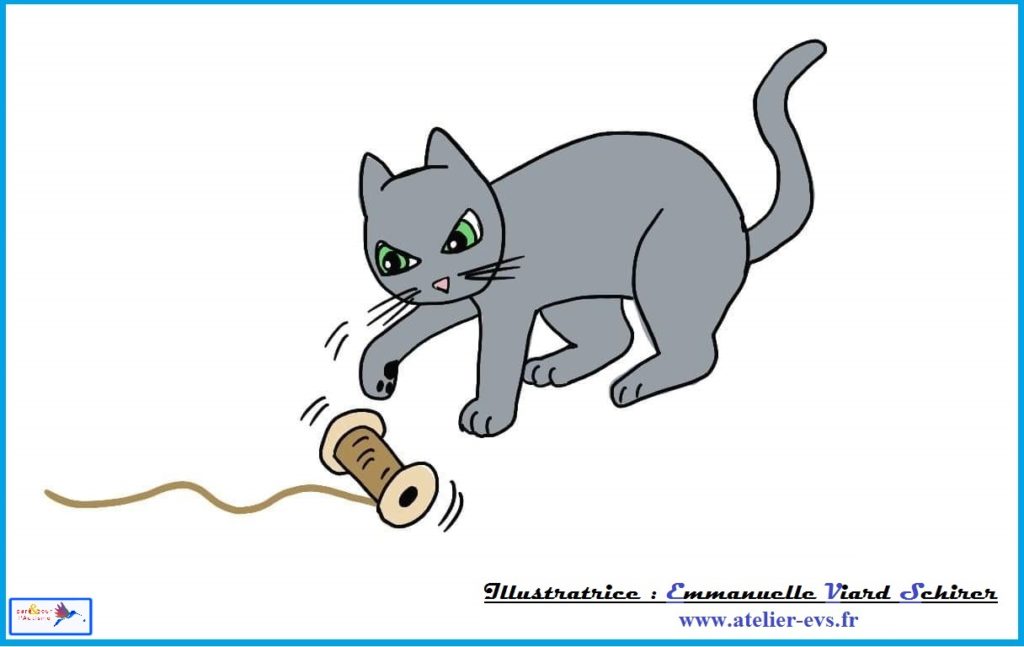 le chat joue avec la bobine