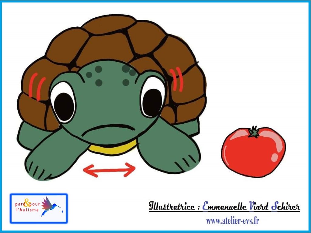la tortue ne veut pas de la tomate