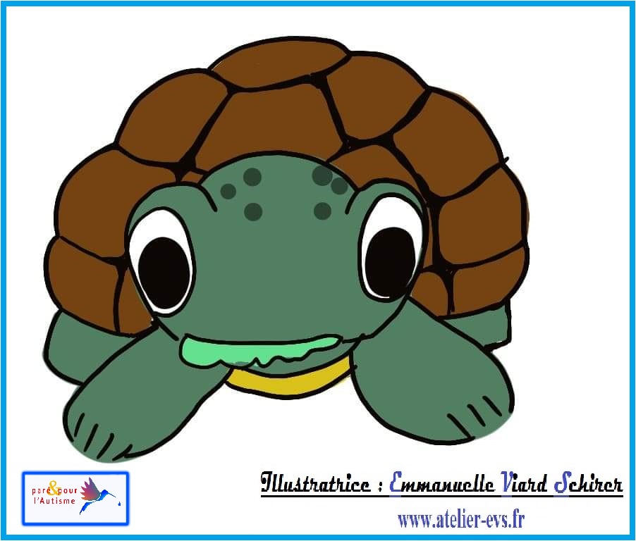 la tortue mange la salade