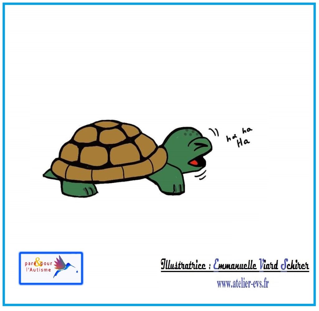 Dessin 12 la tortue rigole