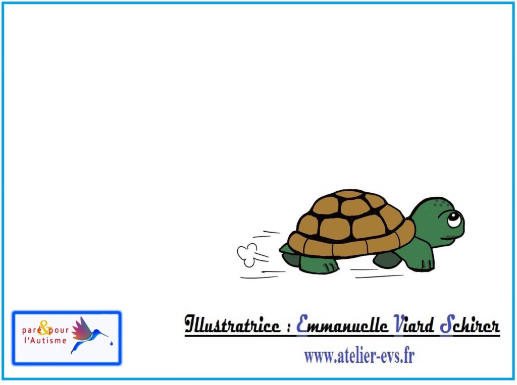 Dessin 6 la tortue s'enfuit