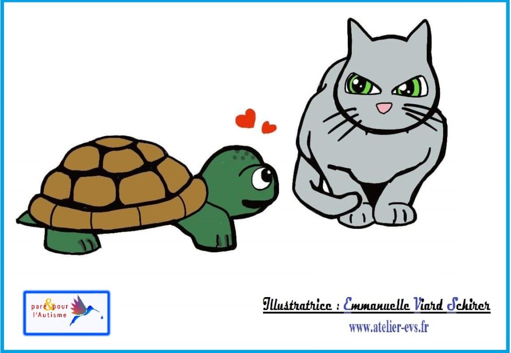 Dessin 8 le chat et la tortue sont amis