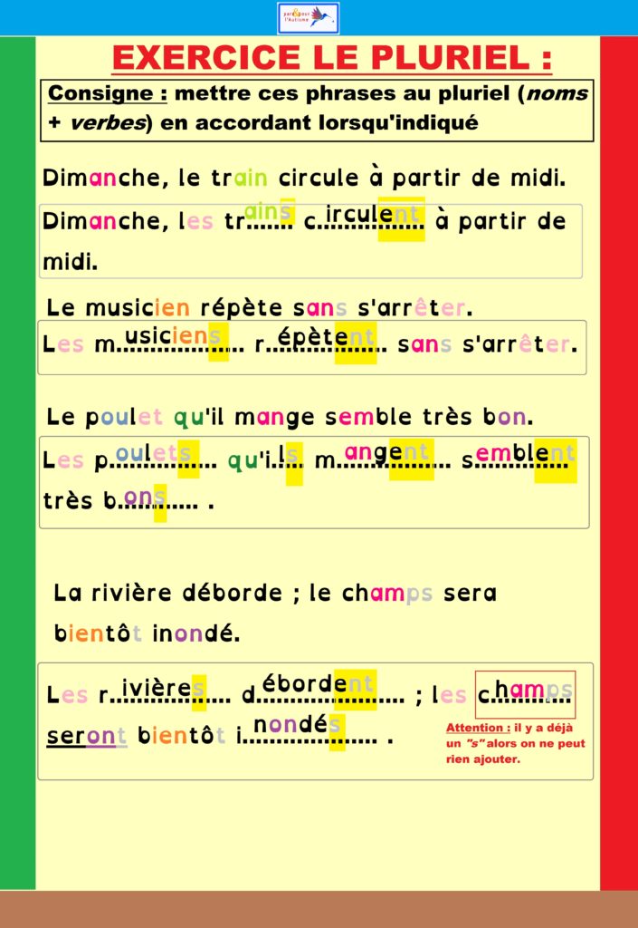 Correction exercice 6 Correction de l'exercice phrases au pluriel