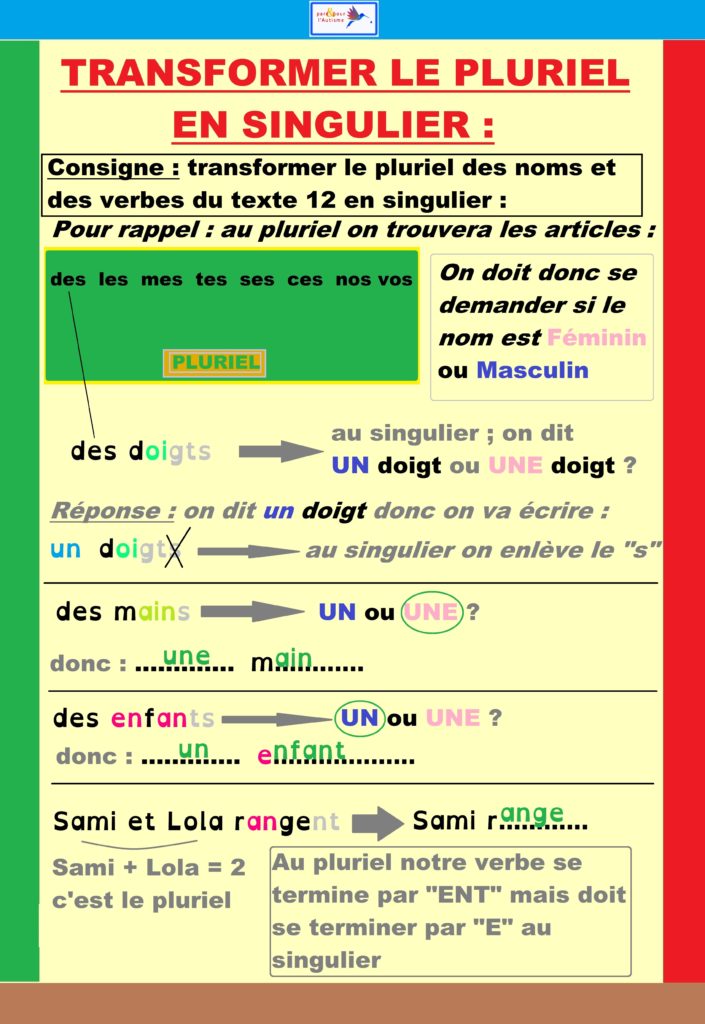 Correction exercice 2 Correction de l'exercice transformer le pluriel en singulier