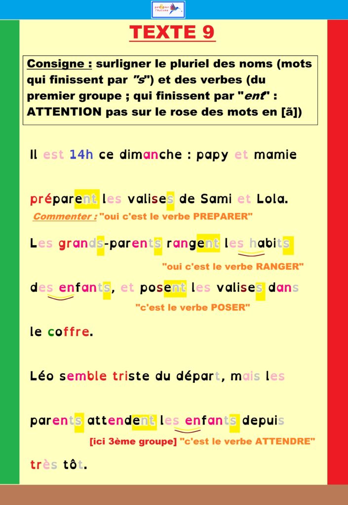 Correction de l'exercice pluriel