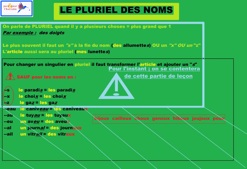 Le pluriel des noms Fiche sur le pluriel des noms
