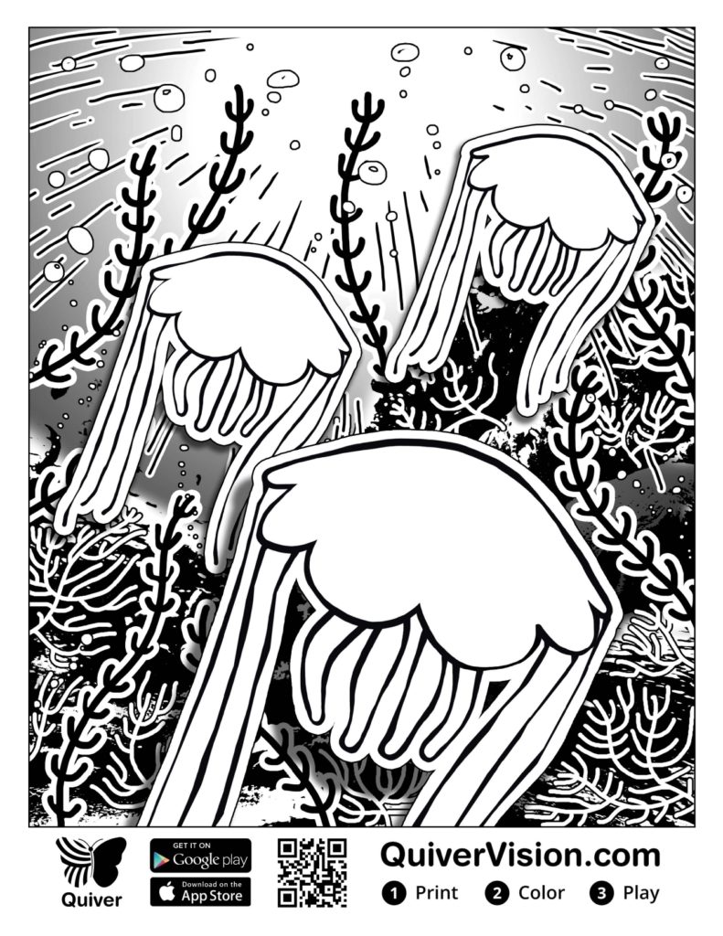 Coloriage 2 coloriage en réalité augmentée 2