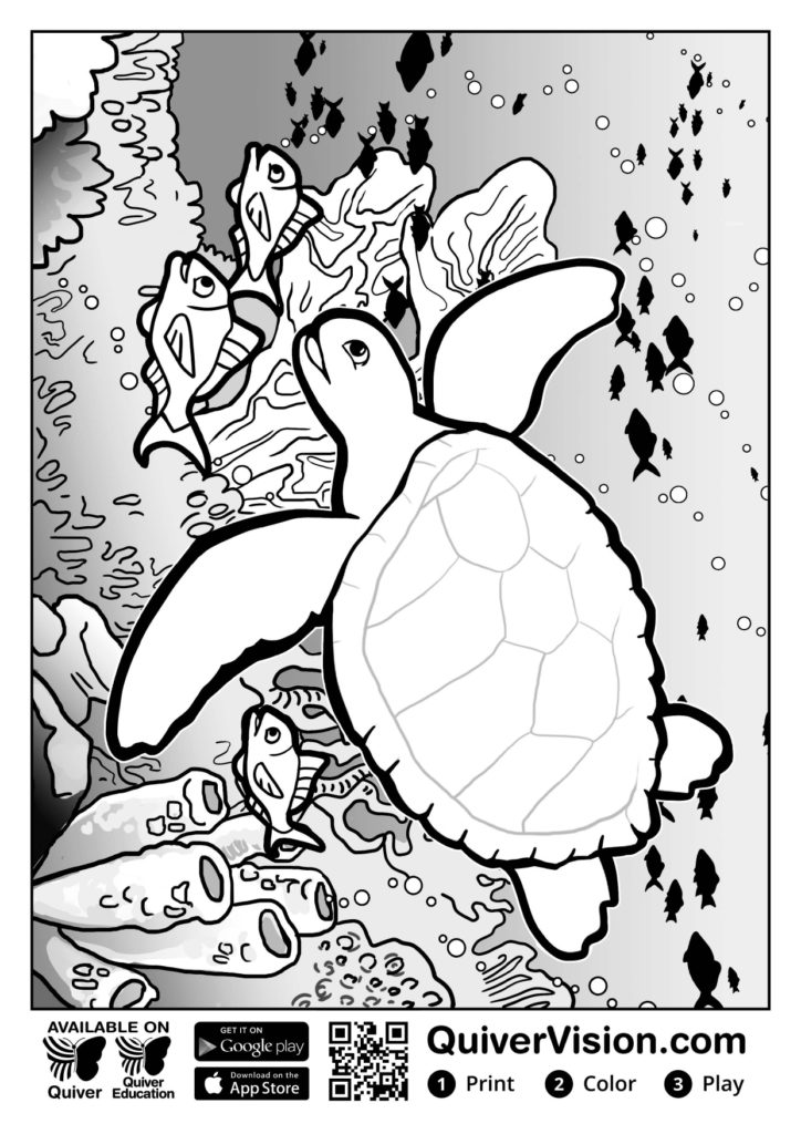 coloriage en réalité augmentée