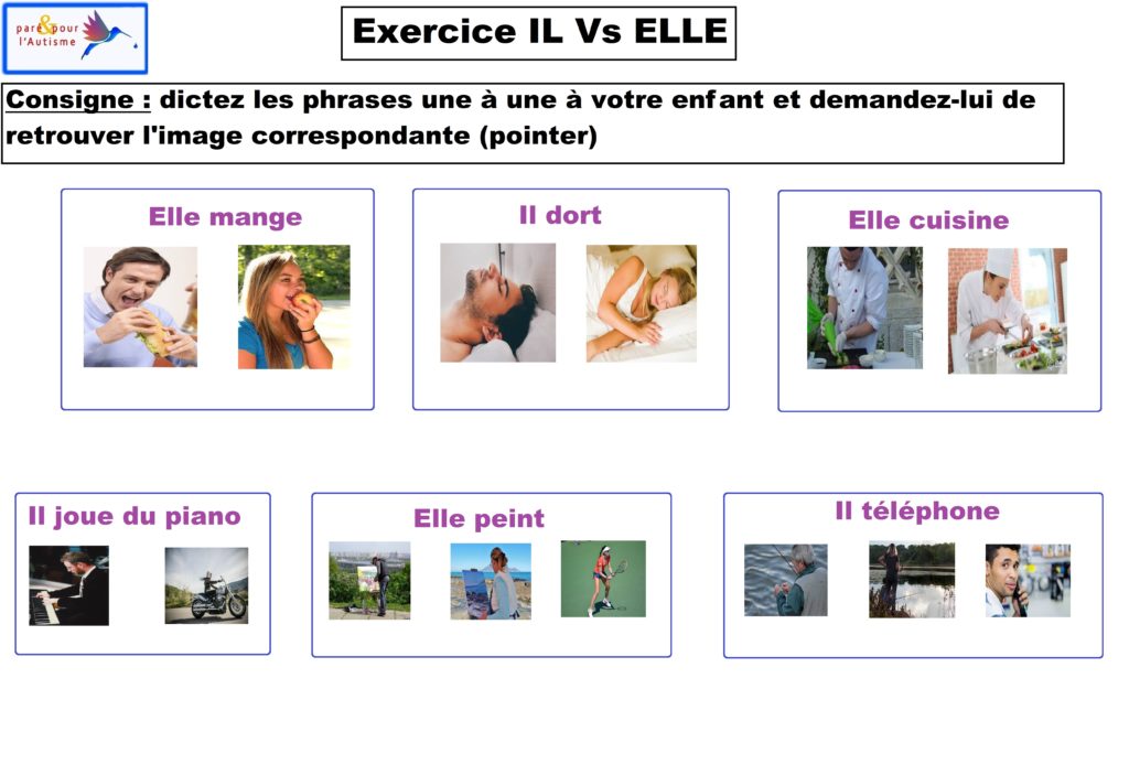 exercice il vs elle