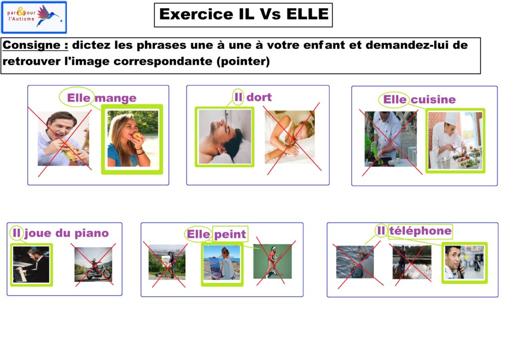 correction de l'exercice il vs elle