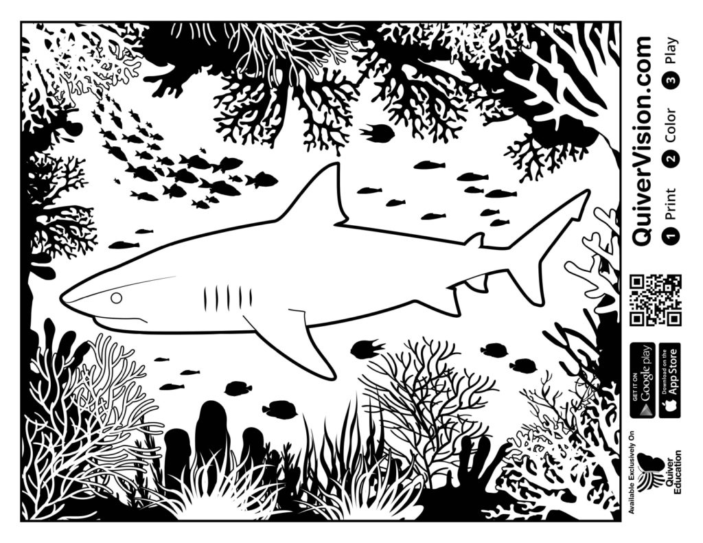 Coloriage en réalité augmentée