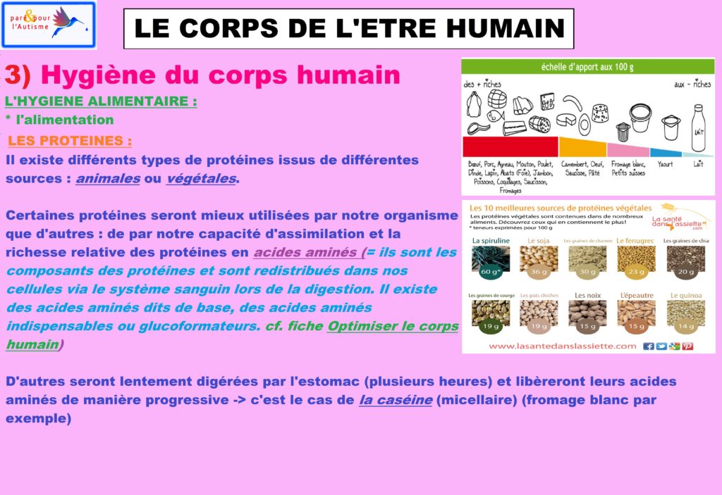L’attribut alt de cette image est vide, son nom de fichier est hygiène-du-corps-humain-alimentation-3-1-1-1024x703.jpg.