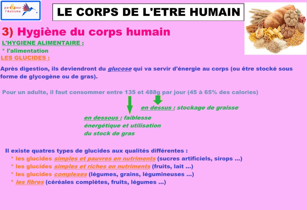 L’attribut alt de cette image est vide, son nom de fichier est hygiène-du-corps-humain-alimentation-4-glucides-1-1-1024x703.jpg.