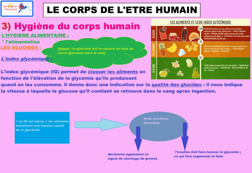 L’attribut alt de cette image est vide, son nom de fichier est hygiène-du-corps-humain-alimentation-5-glucides-1-1-1024x703.jpg.