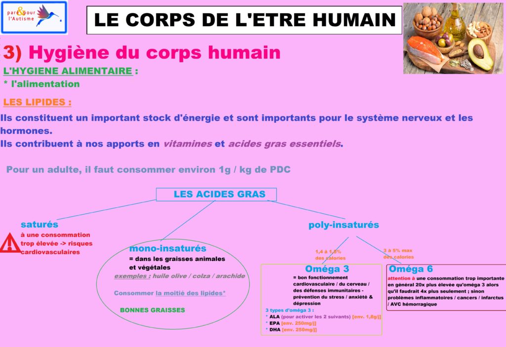 L’attribut alt de cette image est vide, son nom de fichier est hygiène-du-corps-humain-alimentation-7-lipides-1-1024x703.jpg.