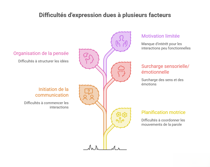 Schéma présentant les principaux facteurs pouvant expliquer les difficultés d'expression chez certaines personnes autistes : organisation de la pensée, initiation de la communication, motivation limitée, surcharge sensorielle ou émotionnelle et planification motrice de la parole.