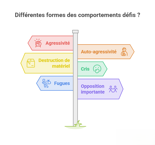 Infographie présentant les principales formes de comportements défis pouvant être observées chez certaines personnes autistes : agressivité, auto-agressivité, destruction de matériel, cris, fugues et opposition importante