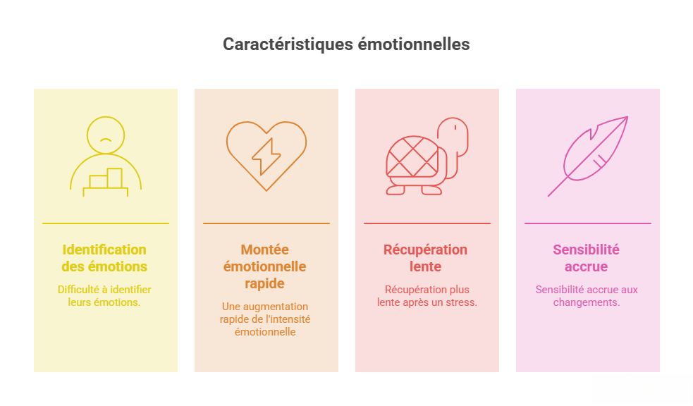 Infographie présentant plusieurs particularités du fonctionnement émotionnel pouvant être observées chez certaines personnes autistes : difficultés à identifier leurs émotions, intensification rapide des émotions, récupération émotionnelle plus lente après un stress et sensibilité accrue aux changements