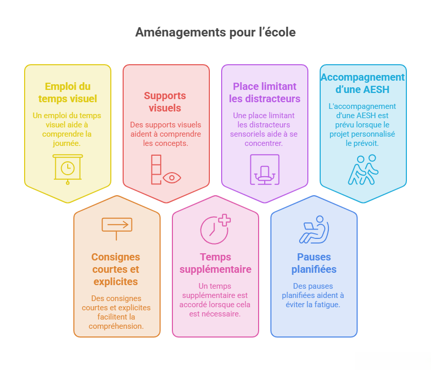 Infographie présentant les principaux aménagements scolaires favorisant la scolarisation des élèves autistes : emploi du temps visuel, supports visuels, limitation des distracteurs, accompagnement par une AESH, consignes courtes et explicites, temps supplémentaire et pauses planifiées.