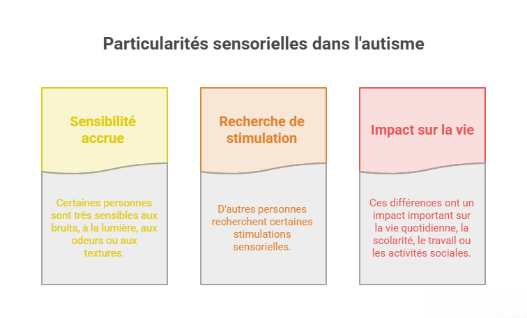 Infographie sur les particularités sensorielles dans l’autisme présentant l’hypersensibilité sensorielle, la recherche de stimulations sensorielles et leurs impacts sur la vie quotidienne.