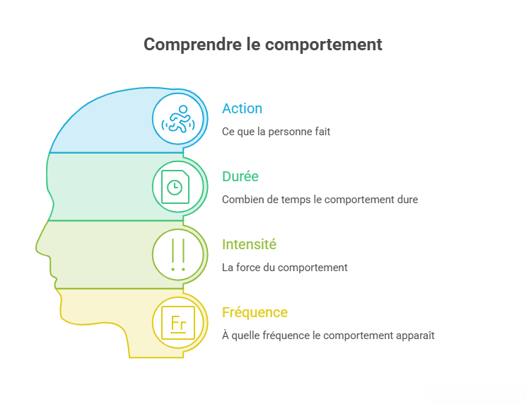 Comprendre le comportement : représentation des quatre dimensions pour observer un comportement : action, durée, intensité et fréquence