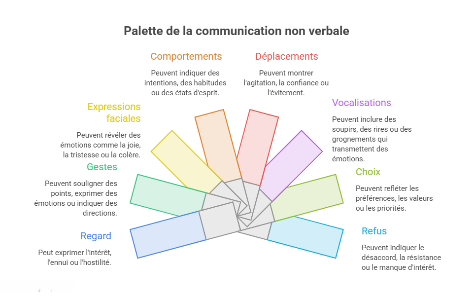Schéma présentant les principaux indices de communication non verbale : regard, gestes, expressions faciales, comportements, déplacements, vocalisations, choix et refus